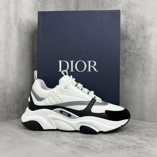 Dior B22